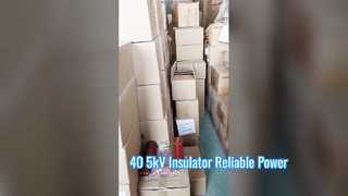 Um olhar mais atento: Buchas de bico isolante de resina epóxi de alta tensão de 40,5 kV com altura de 660 mm