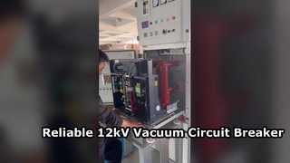 Apresente o disjuntor a vácuo interno de alta tensão de 12 kV montado lateralmente 630A-1250A para você